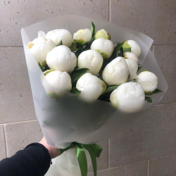 15 белых пионов